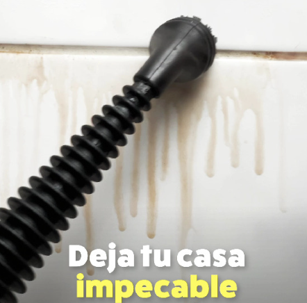 PowerSteamer Limpiador a vapor y sanitizador