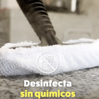 PowerSteamer Limpiador a vapor y sanitizador